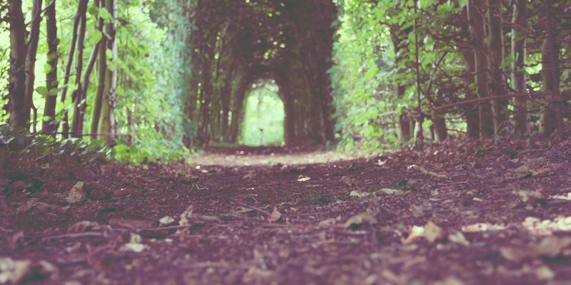 台州IT技能教育新趋势：三合计算机学校Linux运维与DevOps自动化实战培训，Ansible与Docker容器化部署精讲