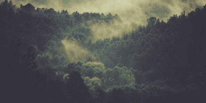 台州Python全栈开发培训：从零基础到项目实战，打造高竞争力IT人才