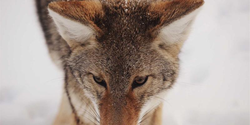 台州云计算架构师认证培训：掌握AWS/Azure部署，赋能办公软件与软件开发新未来