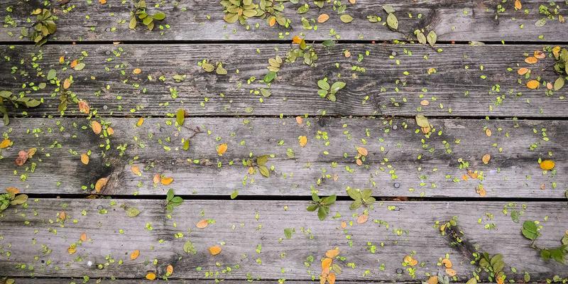 台州云计算认证培训指南：如何精准选择AWS、Azure或阿里云课程，提升数据分析与网络工程技能