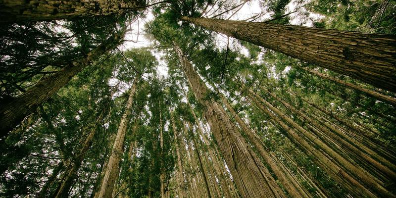 台州人工智能AI入门实战班：从机器学习基础到行业应用，开启高薪IT技能教育新路径