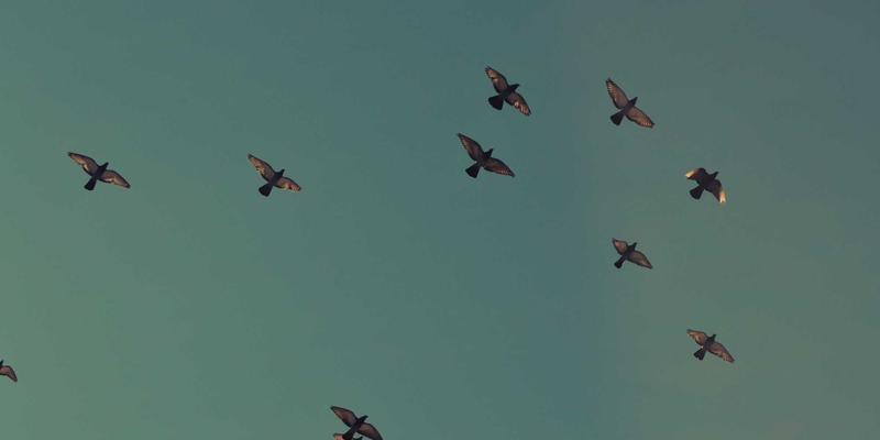 台州人工智能AI实战培训：三合计算机学校带你入门机器学习与计算机视觉