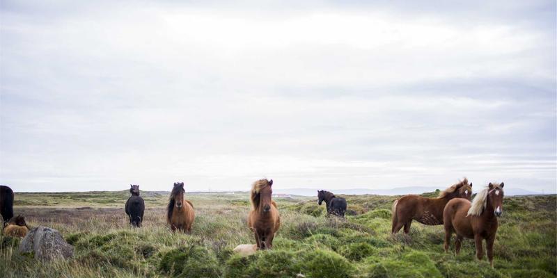 台州区块链技术开发培训：从办公软件到以太坊智能合约的实战进阶之路