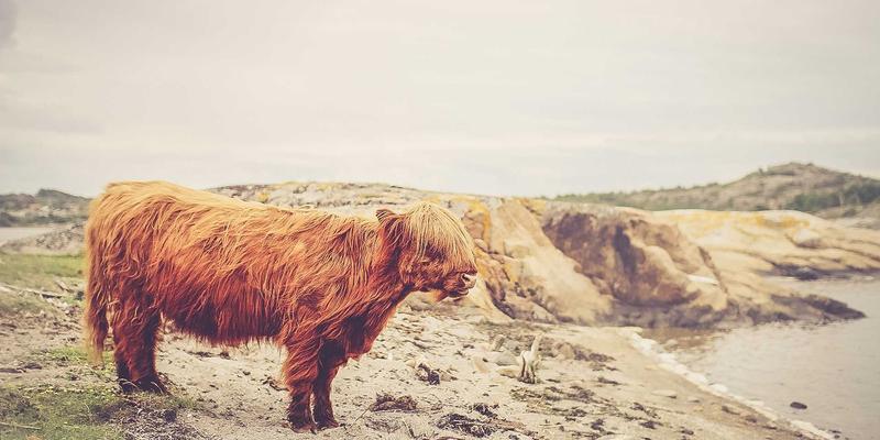 台州游戏开发培训：三合计算机学校Unity3D与C#实战指南，开启高薪软件开发之路