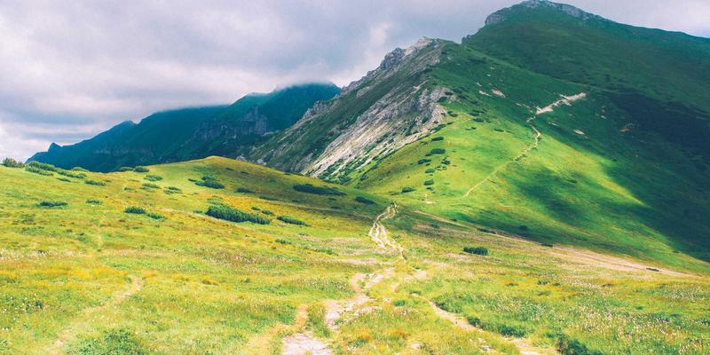 台州游戏开发培训：掌握Unity3D与C#，开启高薪职业新赛道——兼谈办公软件、网络工程与数据分析的协同发展