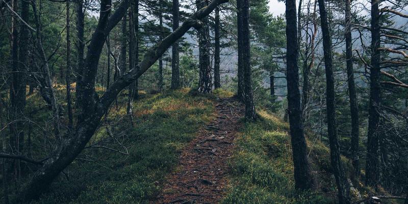 台州游戏开发学习路径解析：Unity与Unreal引擎本地就业市场及IT技能教育指南