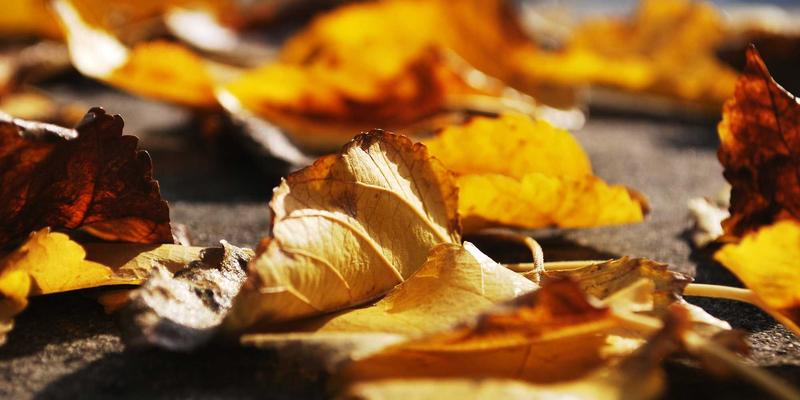 台州计算机培训38：从办公软件学习到软件开发培训的IT技能教育全攻略