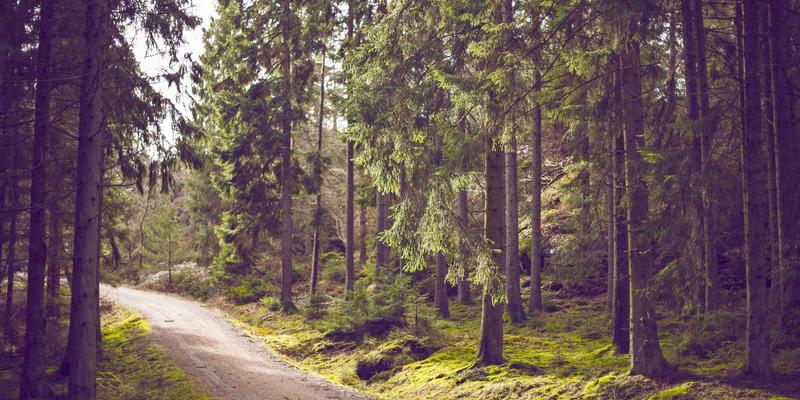 台州计算机培训72问：三合计算机学校如何成就网络工程师梦想？