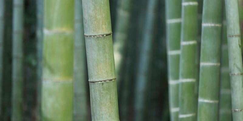 台州计算机培训85：数据分析与办公软件双轨赋能，三合计算机学校打造职场竞争力