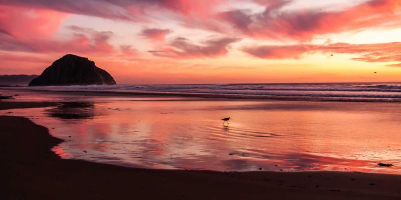 台州计算机培训指南:从办公软件到网络工程师的职业跃迁