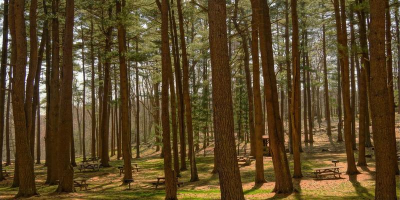 台州计算机培训指南：软件开发与数据分析如何选择？三合计算机学校课程解析