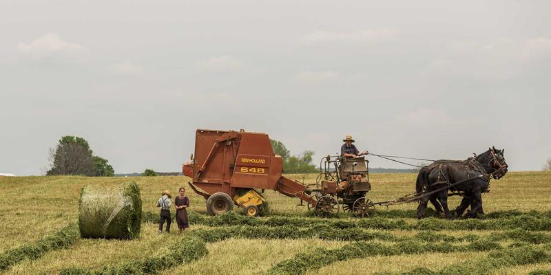 台州计算机培训：掌握IT核心技能，开启软件开发职业新篇章