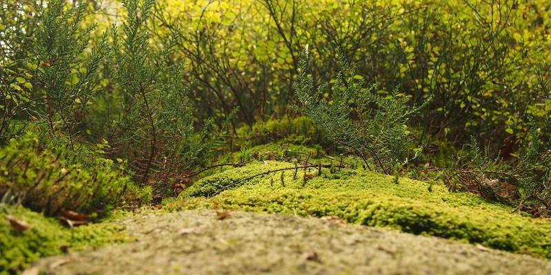 台州计算机培训新趋势:从办公软件到软件开发,三合计算机学校如何引领职场转型
